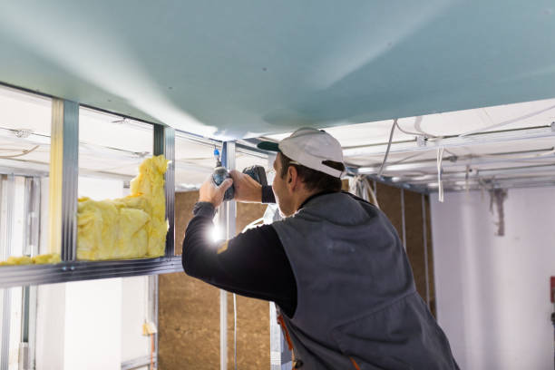 Best Eco-Friendly Insulation in Bratenahl, OH